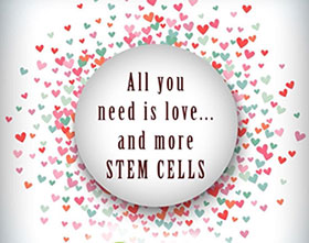 all you need is love and more stem cell nutrition